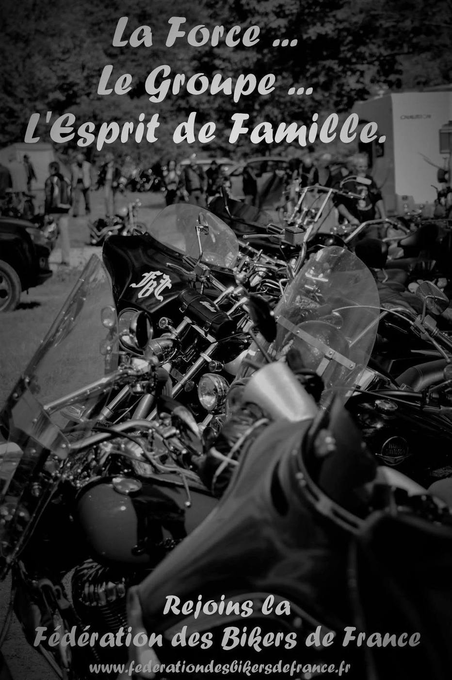 Affiche : La force, le groupe, l'esprit de famille